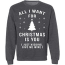 All I Want For Christmas Is You T-Shirt CustomCat