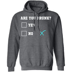 Are You Drunk T-Shirt CustomCat