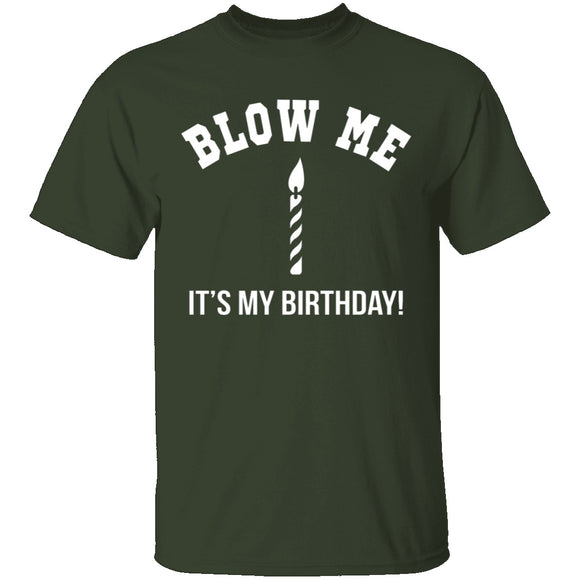 Blow Me It's My Birthday T-Shirt CustomCat