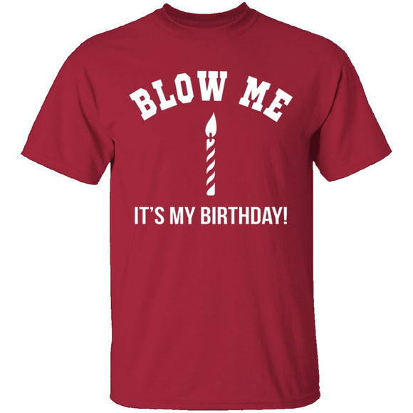 Blow Me It's My Birthday T-Shirt CustomCat