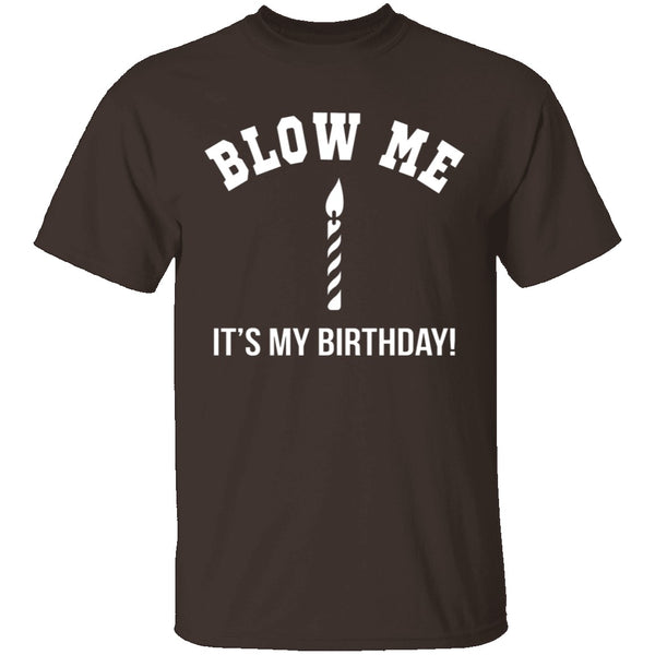Blow Me It's My Birthday T-Shirt CustomCat