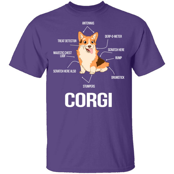Corgi Anatomy T-Shirt CustomCat
