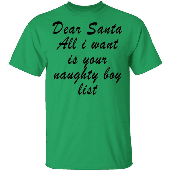 Dear Santa All I Want Is Your Naughty Boy List T-Shirt CustomCat
