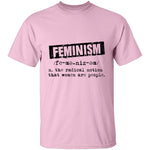 Feminism Deffinition T-Shirt CustomCat