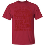Fireworks Beer And Freedom T-Shirt CustomCat