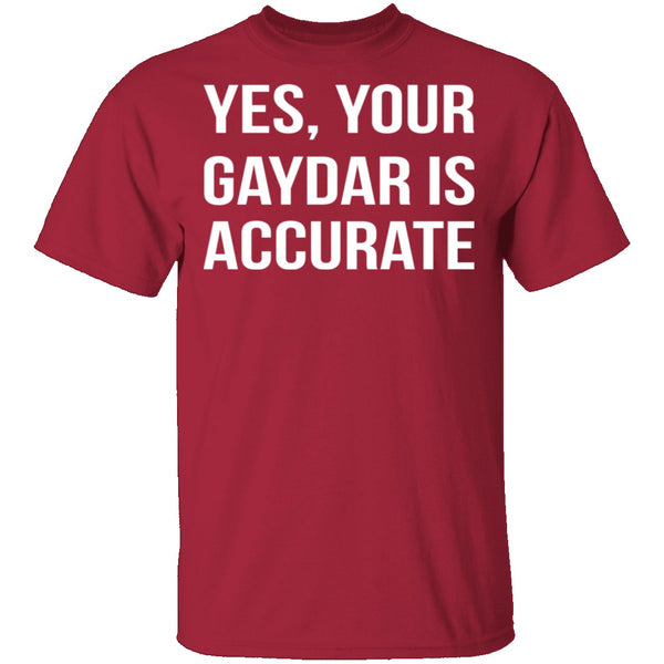 Gaydar is Accurate T-Shirt CustomCat