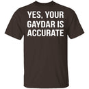 Gaydar is Accurate T-Shirt CustomCat