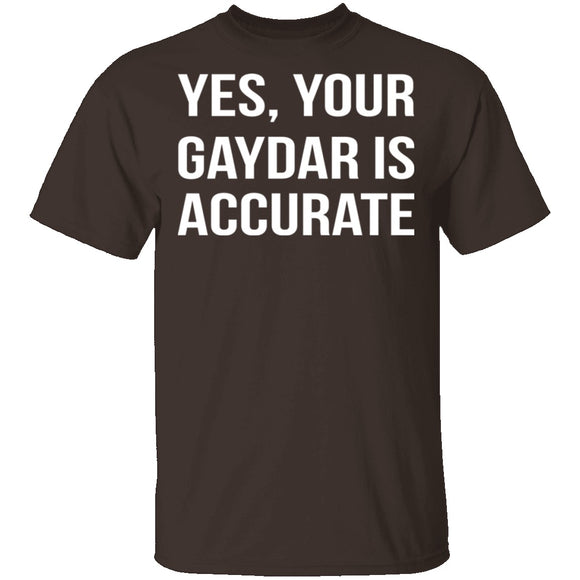 Gaydar is Accurate T-Shirt CustomCat