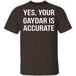 Gaydar is Accurate T-Shirt CustomCat