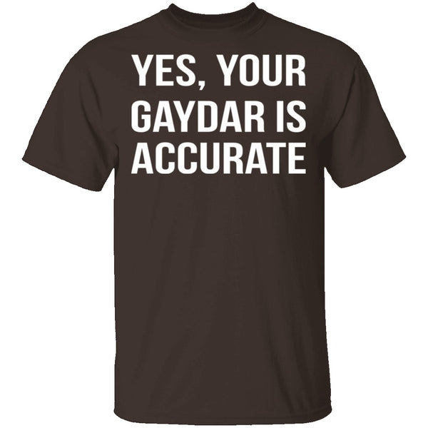 Gaydar is Accurate T-Shirt CustomCat