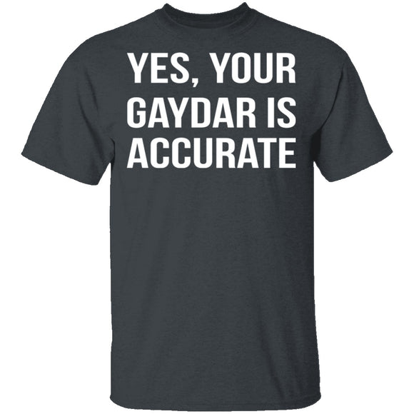 Gaydar is Accurate T-Shirt CustomCat