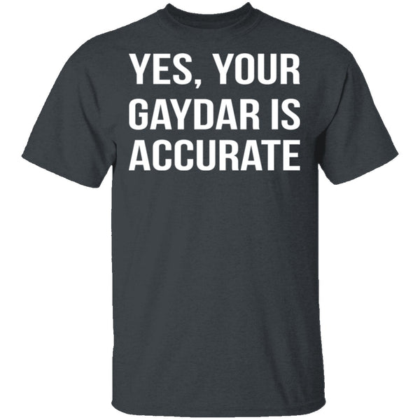 Gaydar is Accurate T-Shirt CustomCat