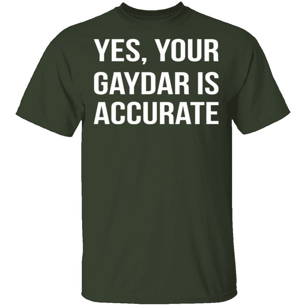 Gaydar is Accurate T-Shirt CustomCat