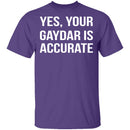 Gaydar is Accurate T-Shirt CustomCat