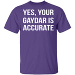 Gaydar is Accurate T-Shirt CustomCat