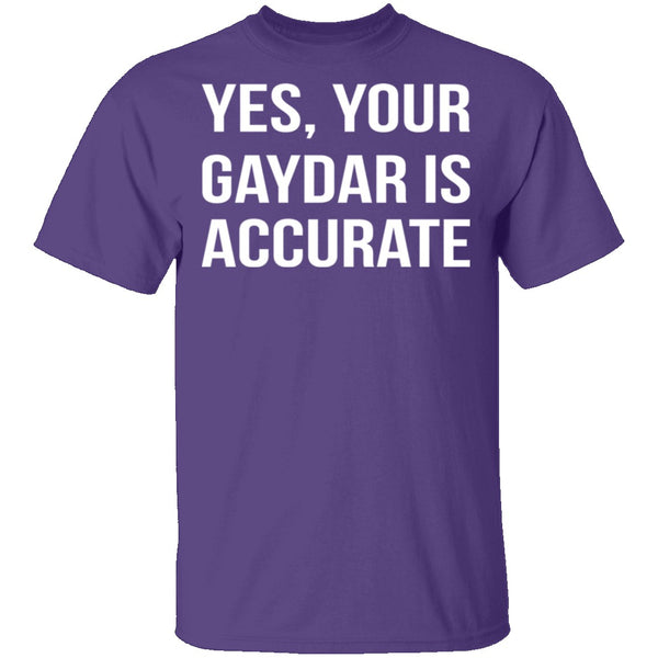 Gaydar is Accurate T-Shirt CustomCat