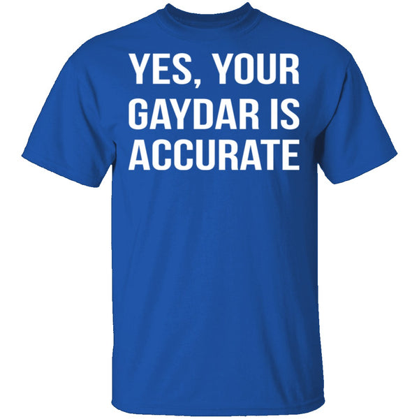 Gaydar is Accurate T-Shirt CustomCat