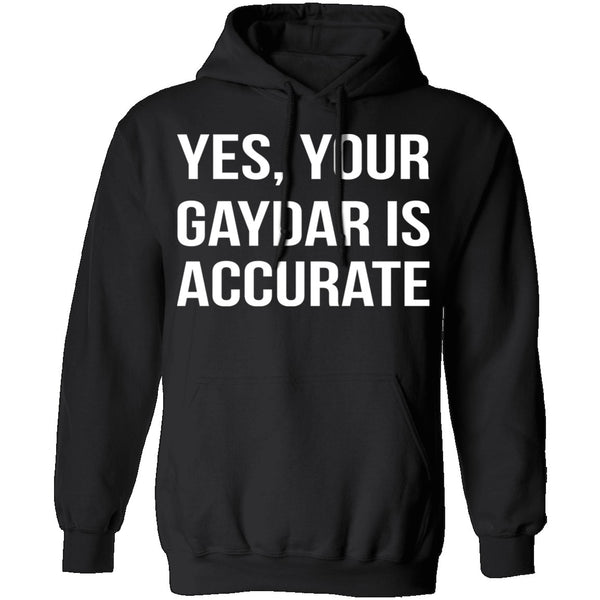 Gaydar is Accurate T-Shirt CustomCat