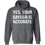 Gaydar is Accurate T-Shirt CustomCat