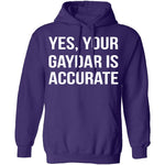 Gaydar is Accurate T-Shirt CustomCat