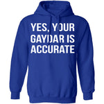 Gaydar is Accurate T-Shirt CustomCat
