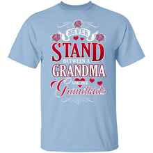 Grandma And Her Grandkids T-Shirt