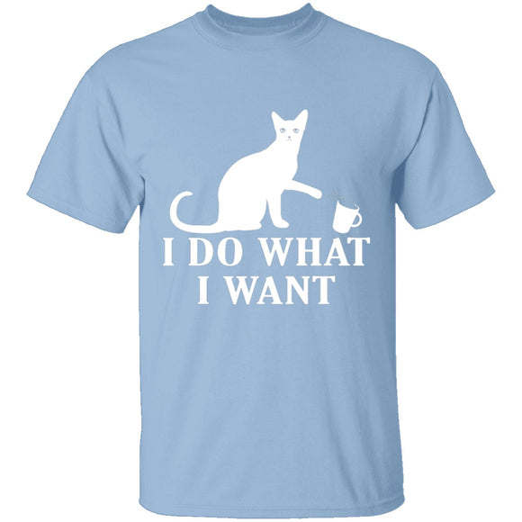 I Do What I Want T-Shirt CustomCat