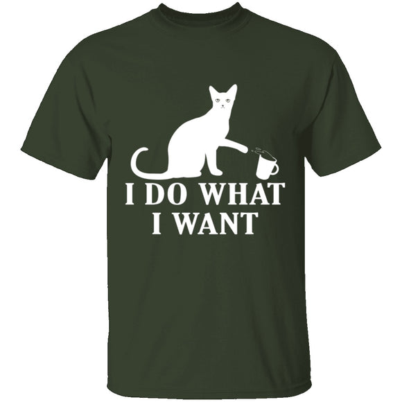 I Do What I Want T-Shirt CustomCat