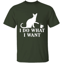 I Do What I Want T-Shirt