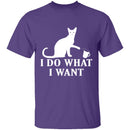 I Do What I Want T-Shirt CustomCat