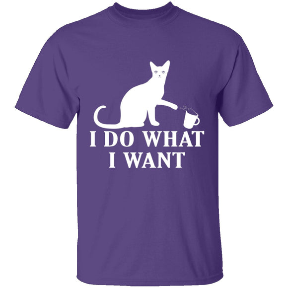 I Do What I Want T-Shirt CustomCat