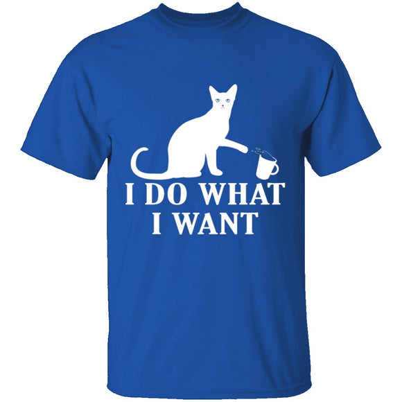 I Do What I Want T-Shirt CustomCat