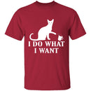 I Do What I Want T-Shirt CustomCat
