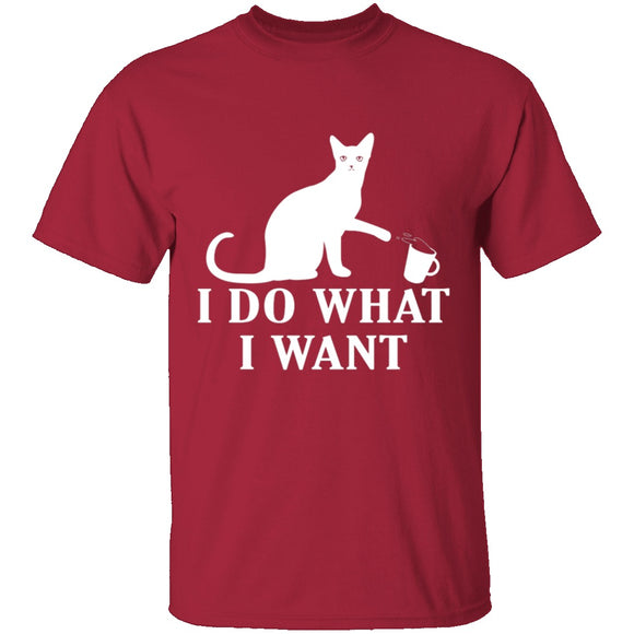 I Do What I Want T-Shirt CustomCat