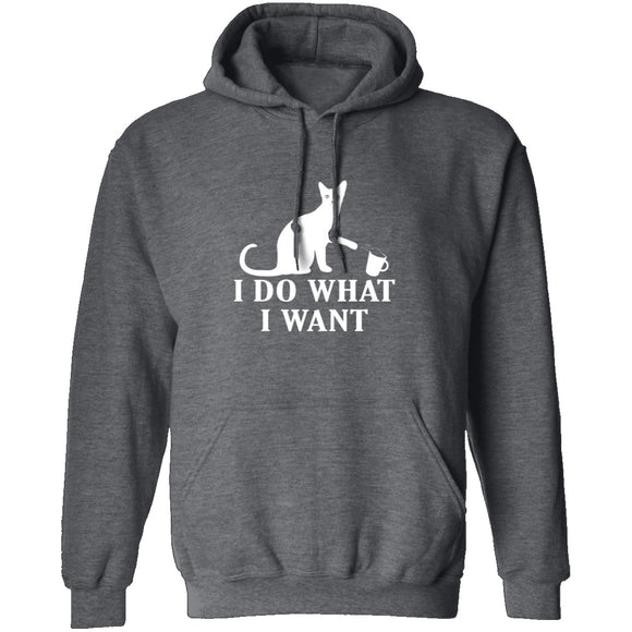 I Do What I Want T-Shirt CustomCat