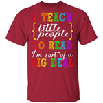 I Teach Little People To Read T-Shirt CustomCat
