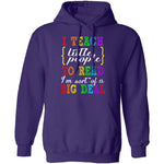 I Teach Little People To Read T-Shirt CustomCat