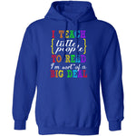 I Teach Little People To Read T-Shirt CustomCat
