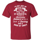 I'm Not Just An Aunt T-Shirt CustomCat