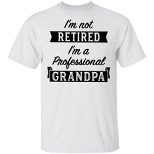 I'm Not Retired I'm A Professional Grandpa T-Shirt