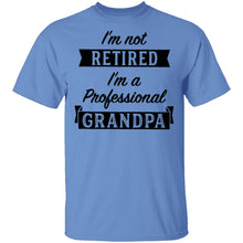 I'm Not Retired I'm A Professional Grandpa T-Shirt