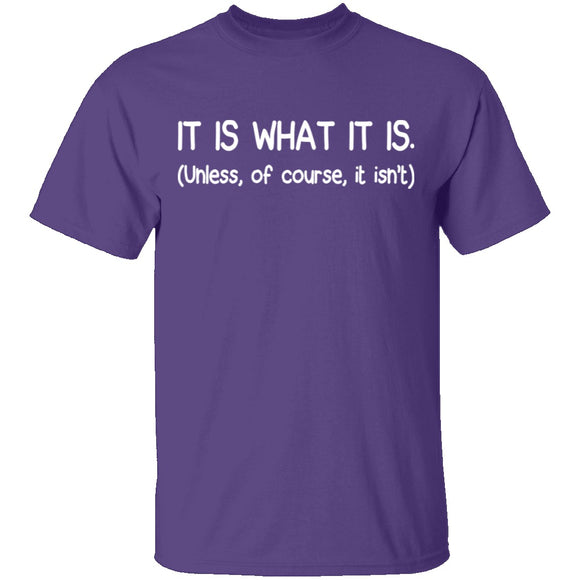 It Is What It Is T-Shirt CustomCat