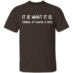 It Is What It Is T-Shirt CustomCat