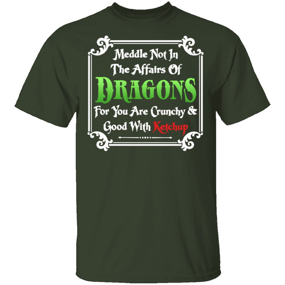 Meddle Not In The Affairs Of Dragons T-Shirt CustomCat