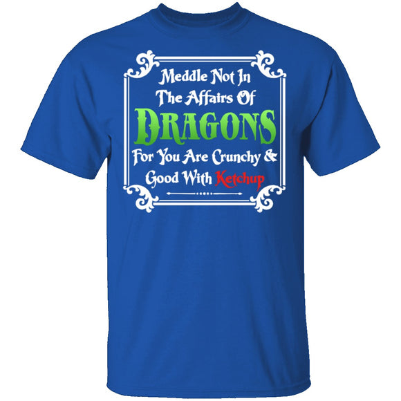 Meddle Not In The Affairs Of Dragons T-Shirt CustomCat