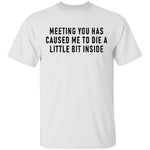 Meeting You Has Caused Me To Die A Little Bit Inside T-Shirt CustomCat