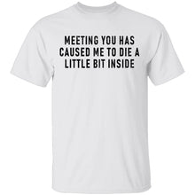 Meeting You Has Caused Me To Die A Little Bit Inside T-Shirt
