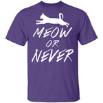 Meow Or Never T-Shirt CustomCat
