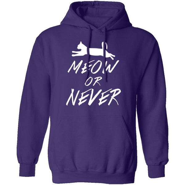 Meow Or Never T-Shirt CustomCat