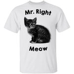 Mr. Right Meow T-Shirt CustomCat